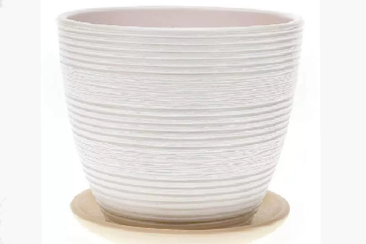 Горшок Халва белый крокус №4