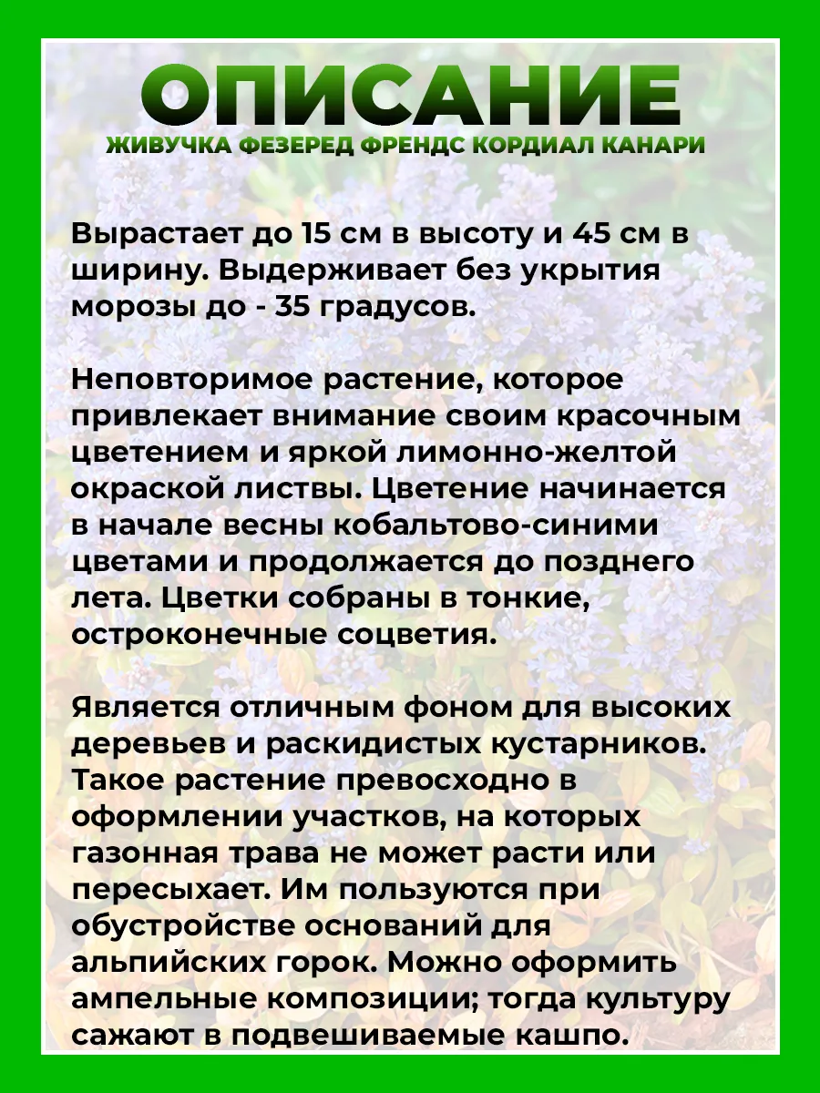 Живучка ползучая Фезеред Френдс Кордиал Канари