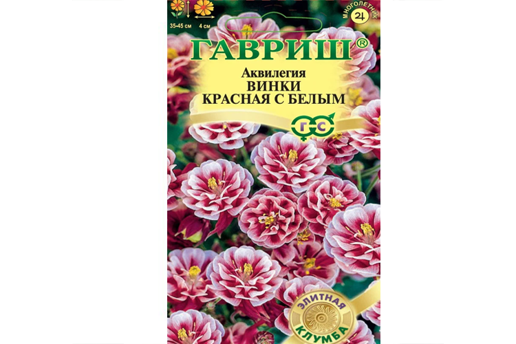 Аквилегия Винки красная с белым, 5 шт. (Гавриш)