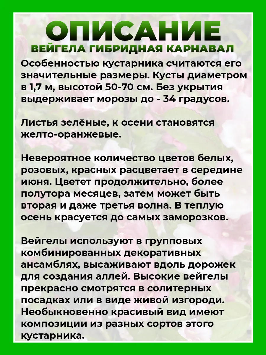 Вейгела цветущая Карнавал