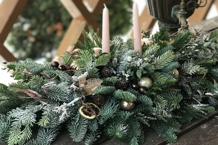 Нобилис (Пихта