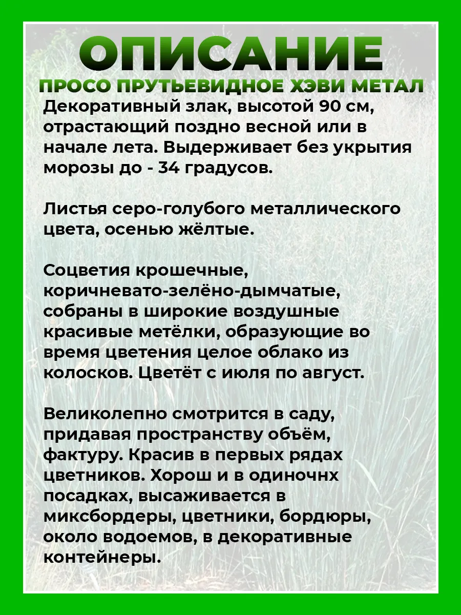 Просо прутьевидное Хэви Металл