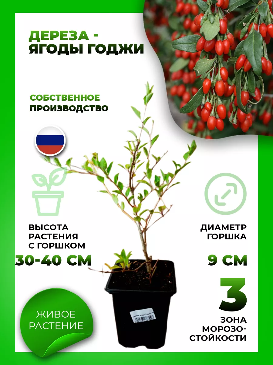 Дереза