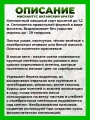 Мискантус китайский Кратер