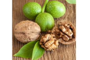 Орех грецкий Левина