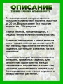 Тимьян ранний Альбифлорус