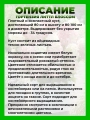 Гортензия метельчатая Литтл Блоссом