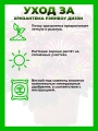 Хризантема крупноцветковая Рейнбоу Диззи