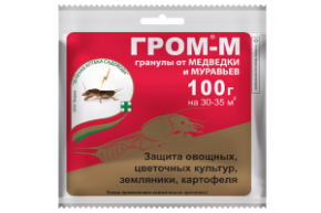 гром