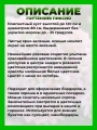 Гортензия метельчатая Пиксио