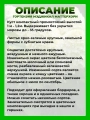 Гортензия метельчатая Мэджикал Маттерхорн