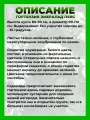 Гортензия древовидная Эмеральд Лейс