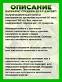 Барбарис средний Дуал Джевел