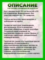 Гортензия древовидная Кандибелле Баблгам