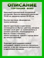 Гортензия метельчатая Бобо