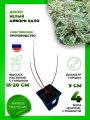 Дерен белый Айвори Хало