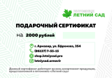 Сертификат 2000 (интернет-магазин)