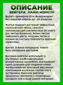 Вейгела цветущая Лайм Монстр