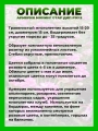 Армерия Монинг Стар Дип Роуз