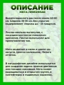 Мята Лимонная