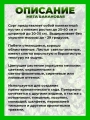 Мята Банановая