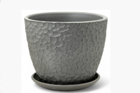 манго серый