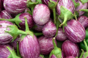 Баклажан Матросик