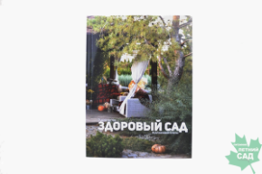 Руководство