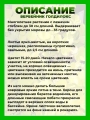 Вербейник монетчатый Голдилокс