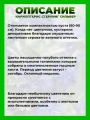 Кариоптерис кландоненский Стерлинг Сильвер