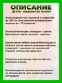 Дерен кроваво-красный Мидвинтер Файер