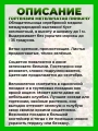Гортензия метельчатая Пинкачу